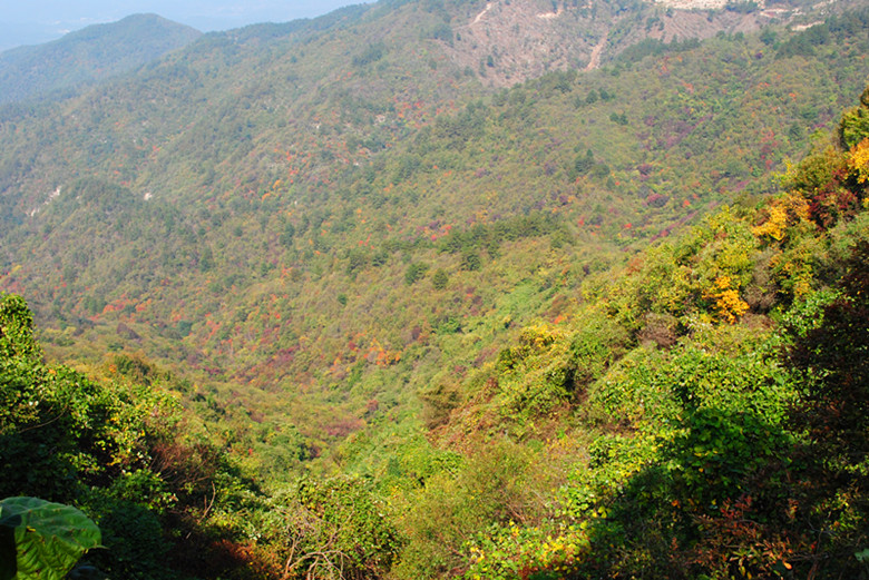 dsc_0008_.jpg