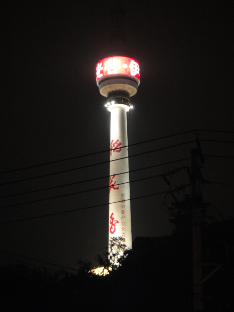 dsc01856.jpg