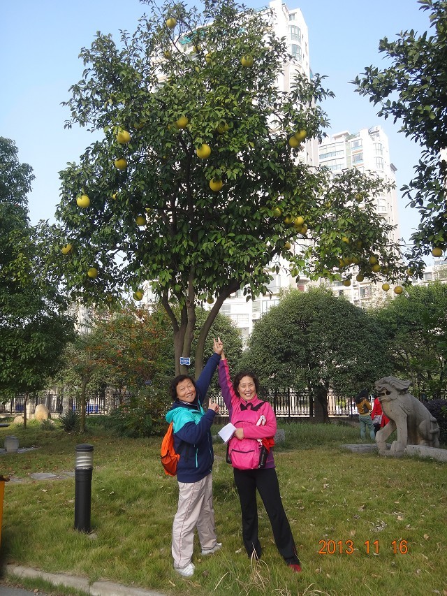 2013111617364981452.jpg