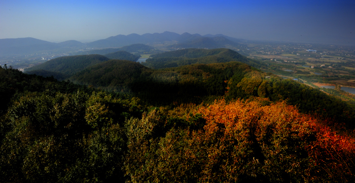 _dsc3706.jpg