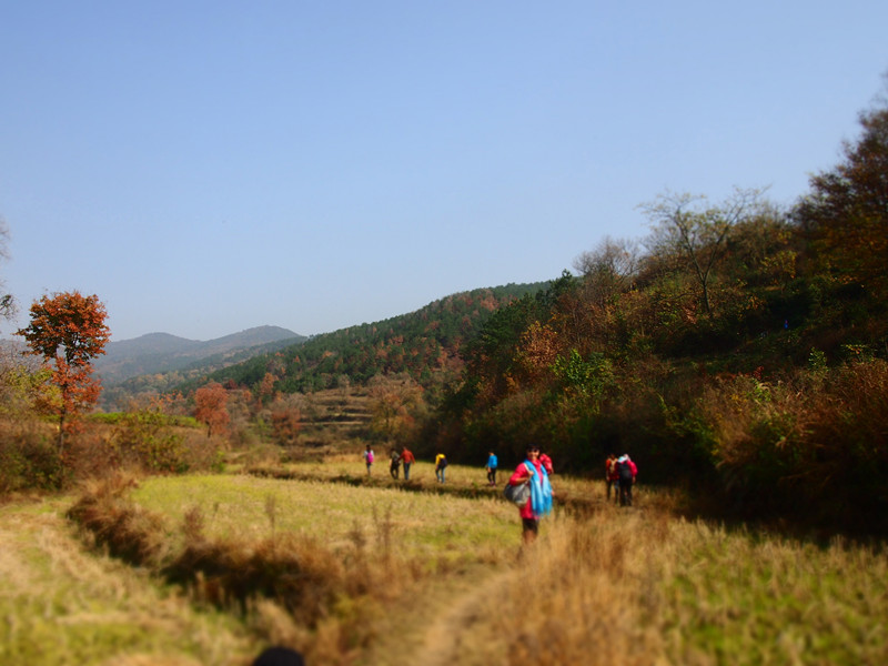 p1010221_.jpg