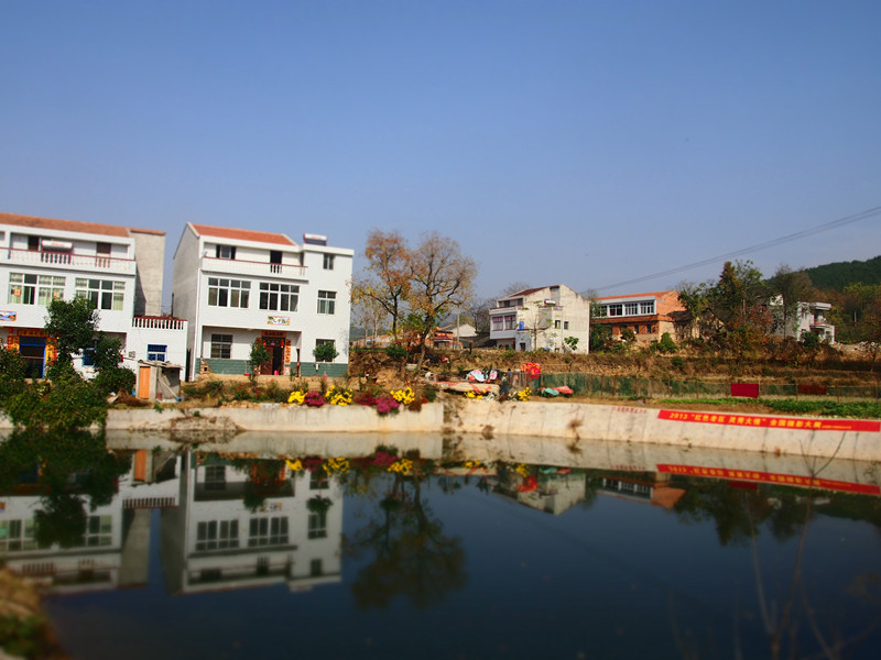 p1010217_.jpg