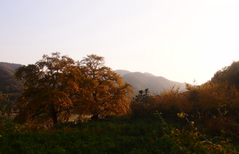 p1010264_.jpg