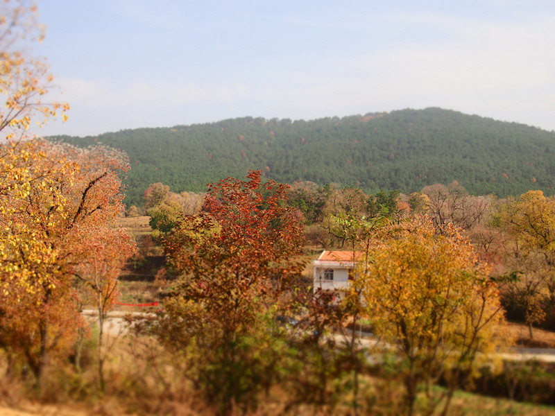 p1010204_.jpg