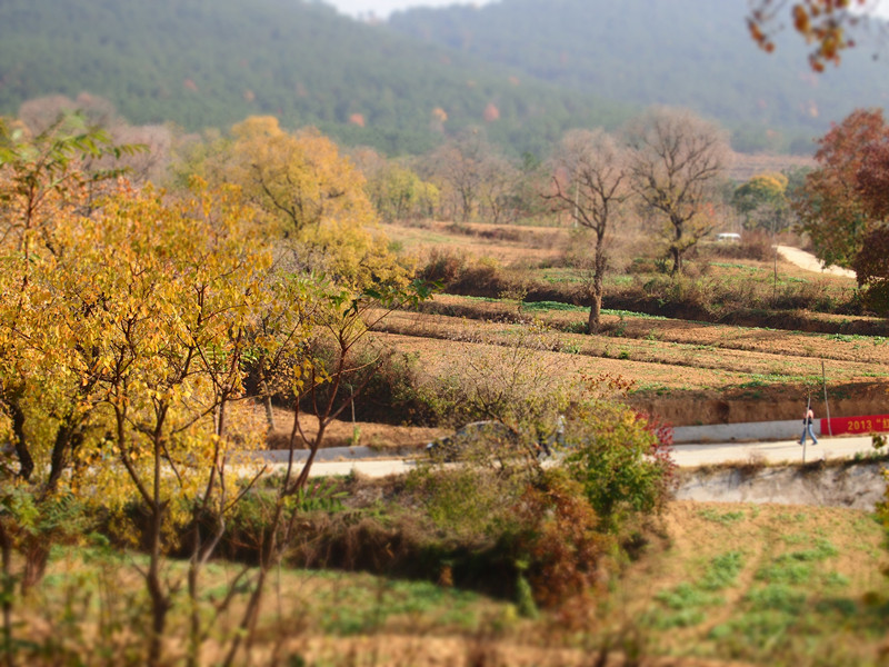 p1010205_.jpg