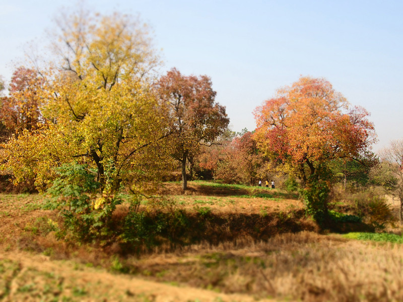 p1010215_.jpg