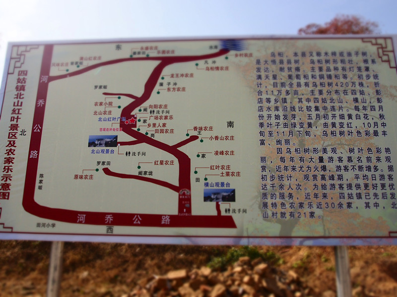 p1010219_.jpg