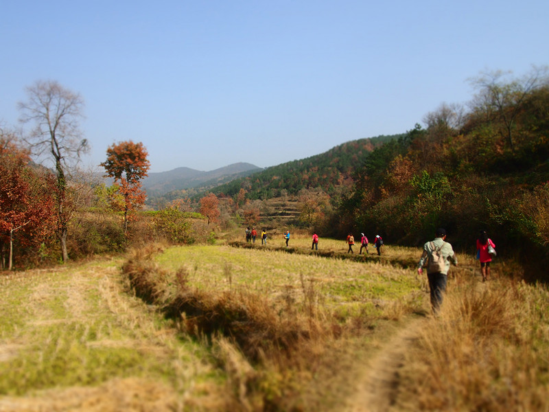 p1010222_.jpg