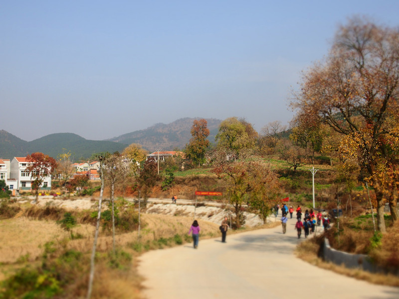 p1010214_.jpg