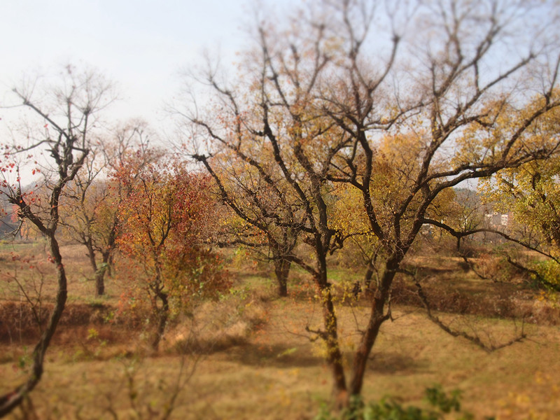 p1010187_.jpg
