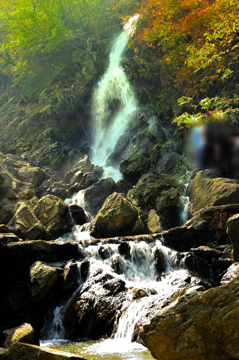 _dsc3305.jpg