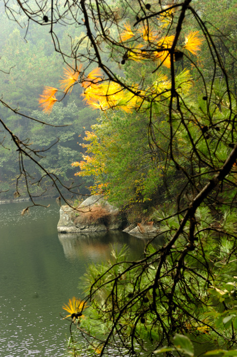 _dsc3344.jpg