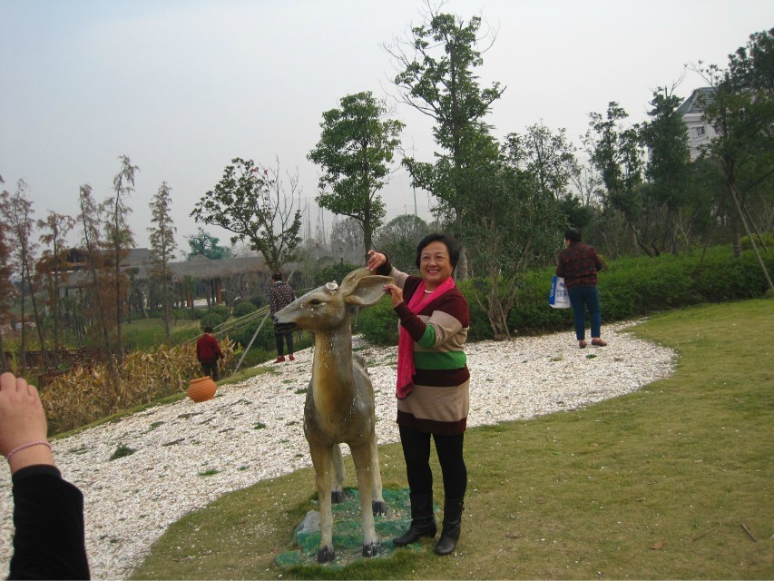 qqͼƬ20131122101541.jpg