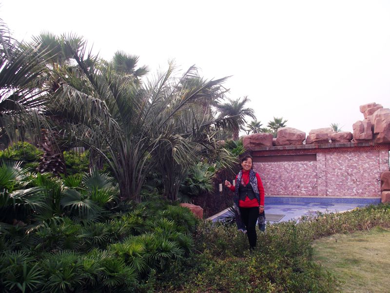 dscf0098.jpg