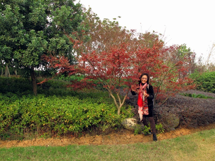 qqͼƬ20131122180234.jpg