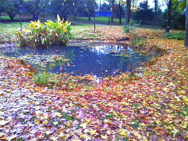img_20131124_091906.jpg
