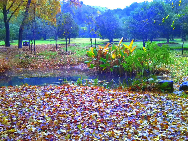 img_20131124_100103.jpg
