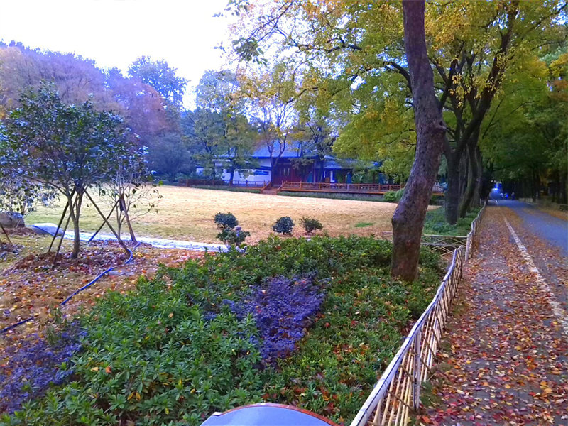 img_20131124_122119.jpg