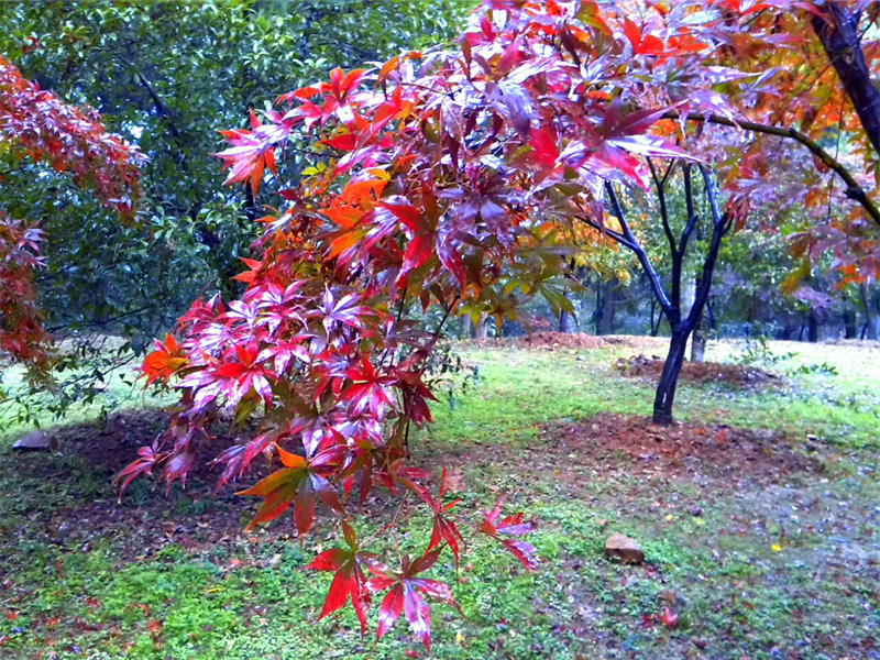 img_20131124_092836.jpg