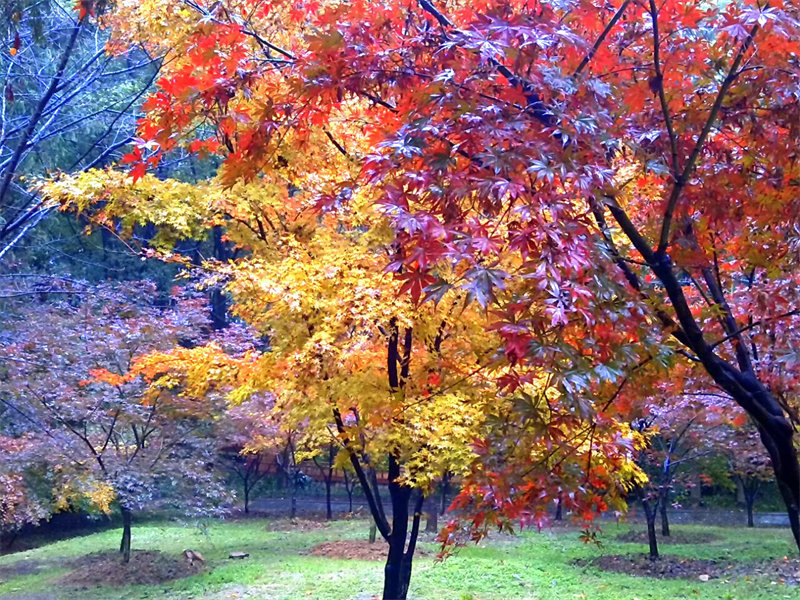 img_20131124_100840.jpg