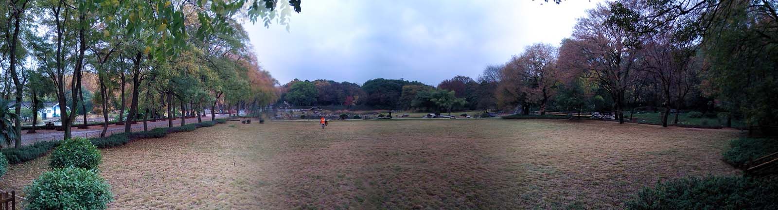 img_20131124_095837.jpg