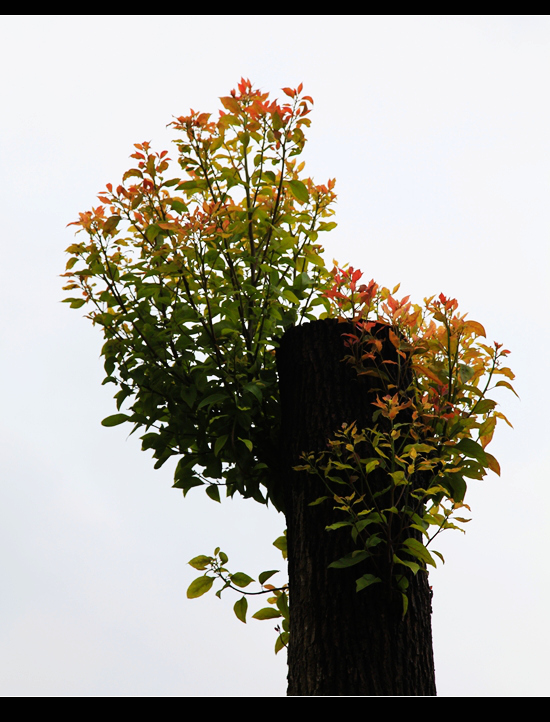 _mg_7886.jpg