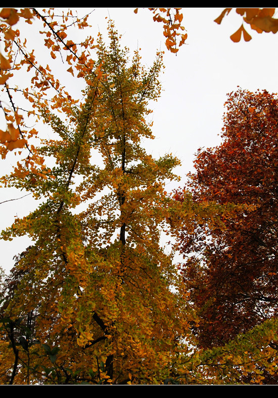 _mg_7855.jpg