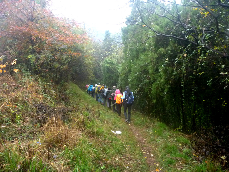p1170330_.jpg