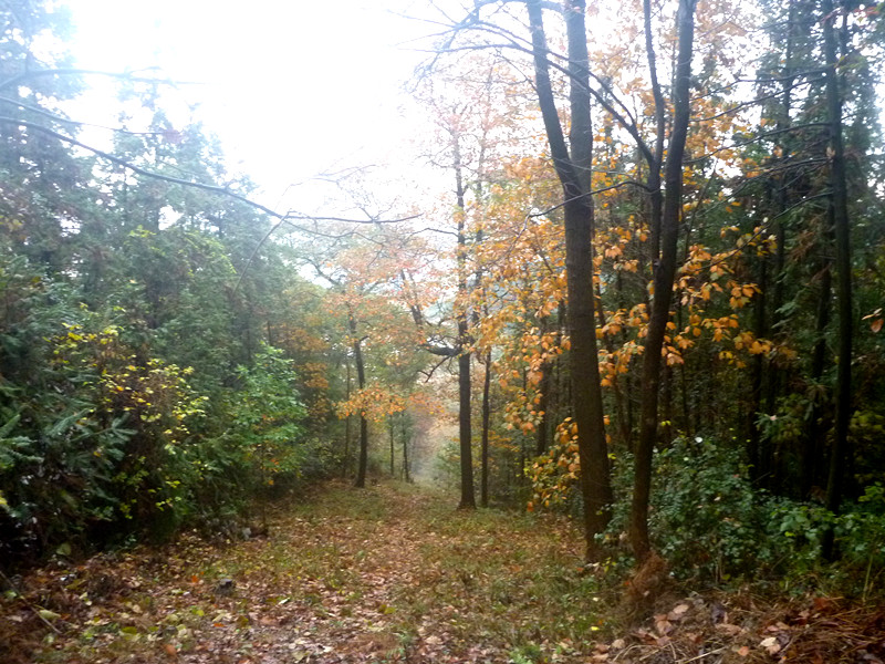 p1170337_.jpg