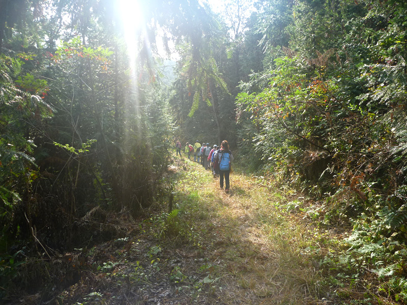 p1170402_.jpg