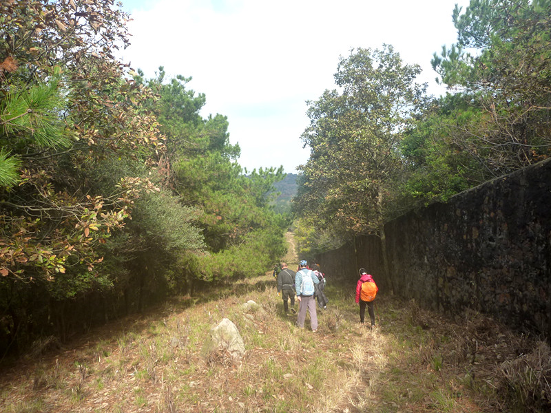 p1170410_.jpg
