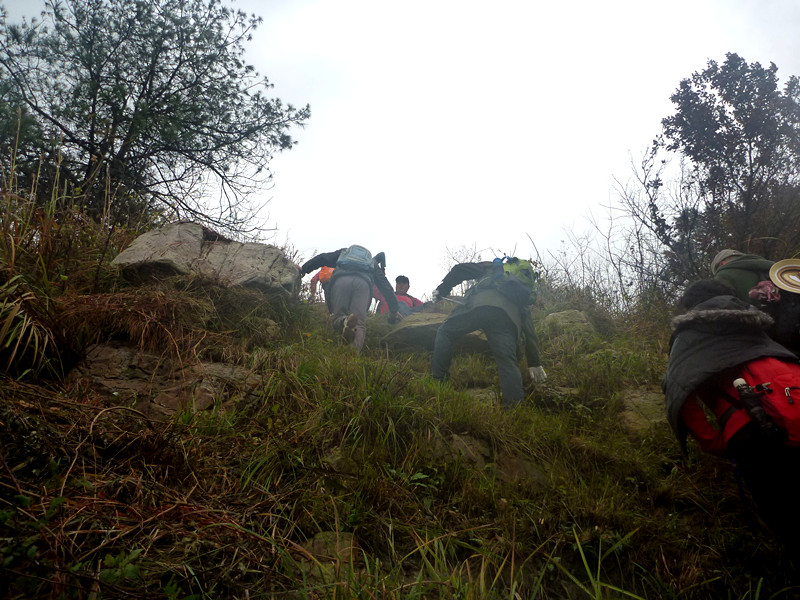 p1170351_.jpg