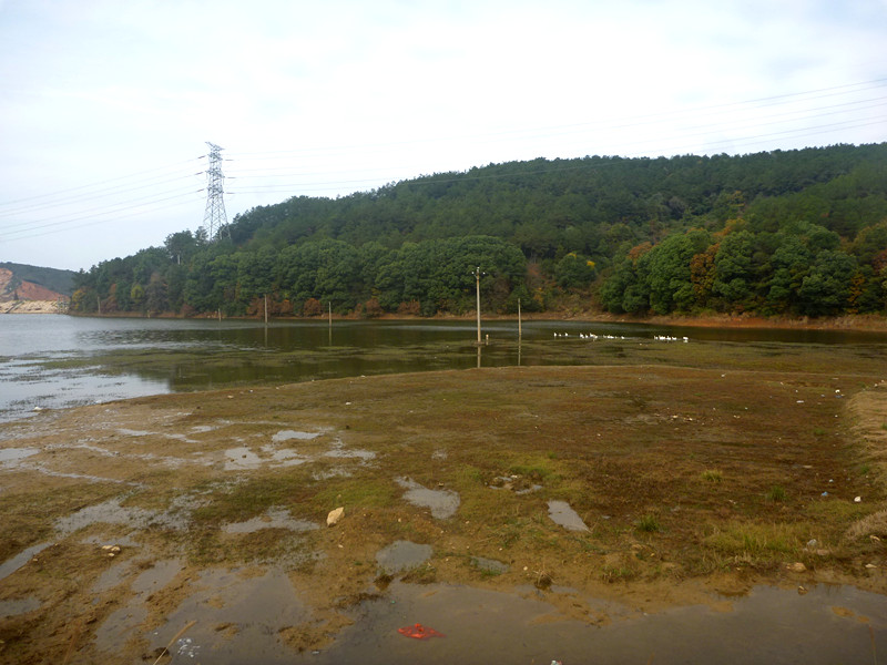 p1170390_.jpg