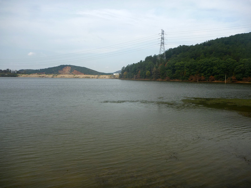p1170394_.jpg