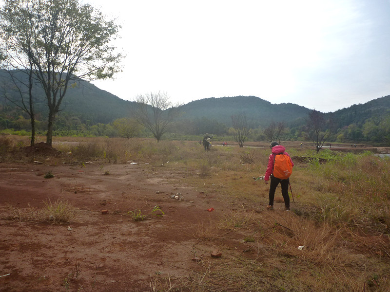 p1170397_.jpg