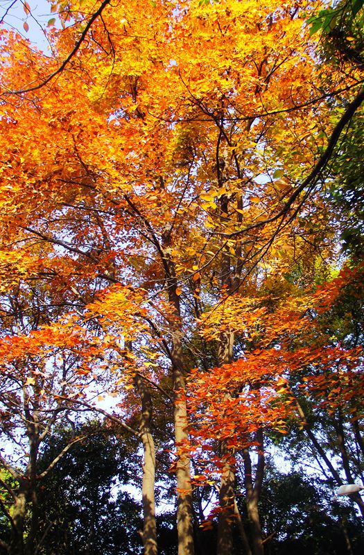 dscf0108.jpg