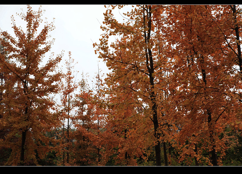 _mg_7889.jpg