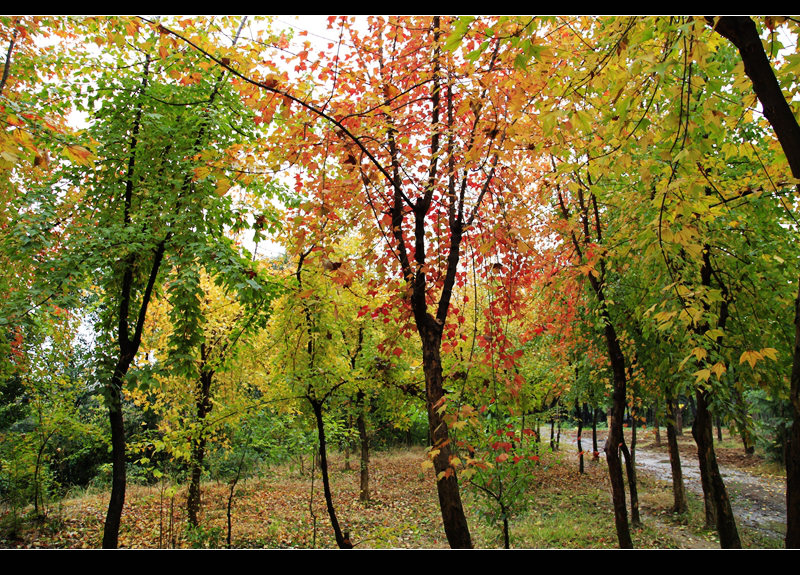 _mg_7898.jpg