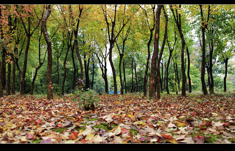 _mg_7908.jpg