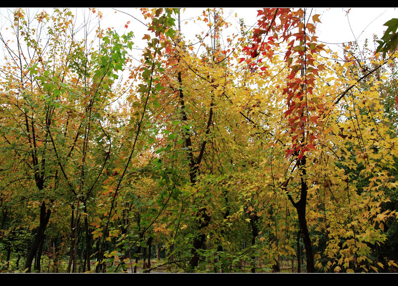 _mg_7902.jpg