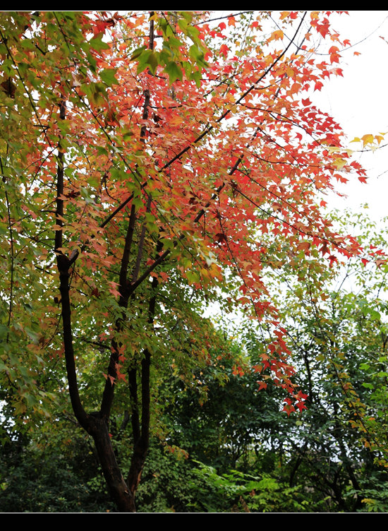 _mg_7900.jpg