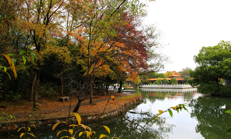 _mg_8034.jpg