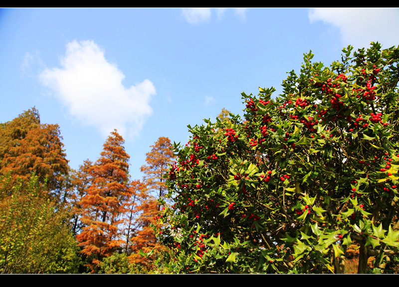 _mg_8046.jpg