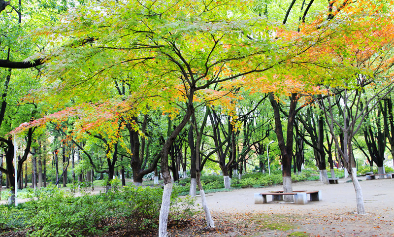 _mg_8026.jpg