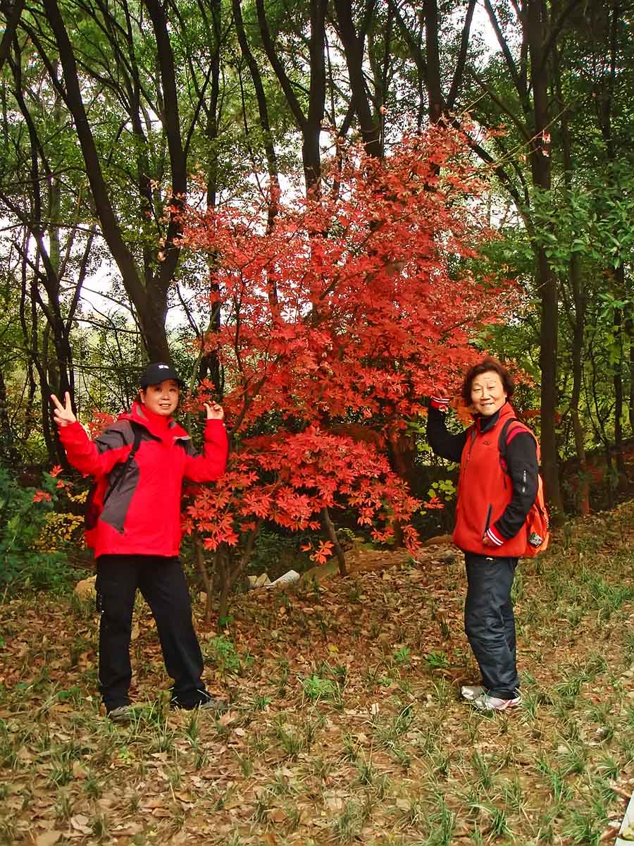 dsc03664 02.jpg