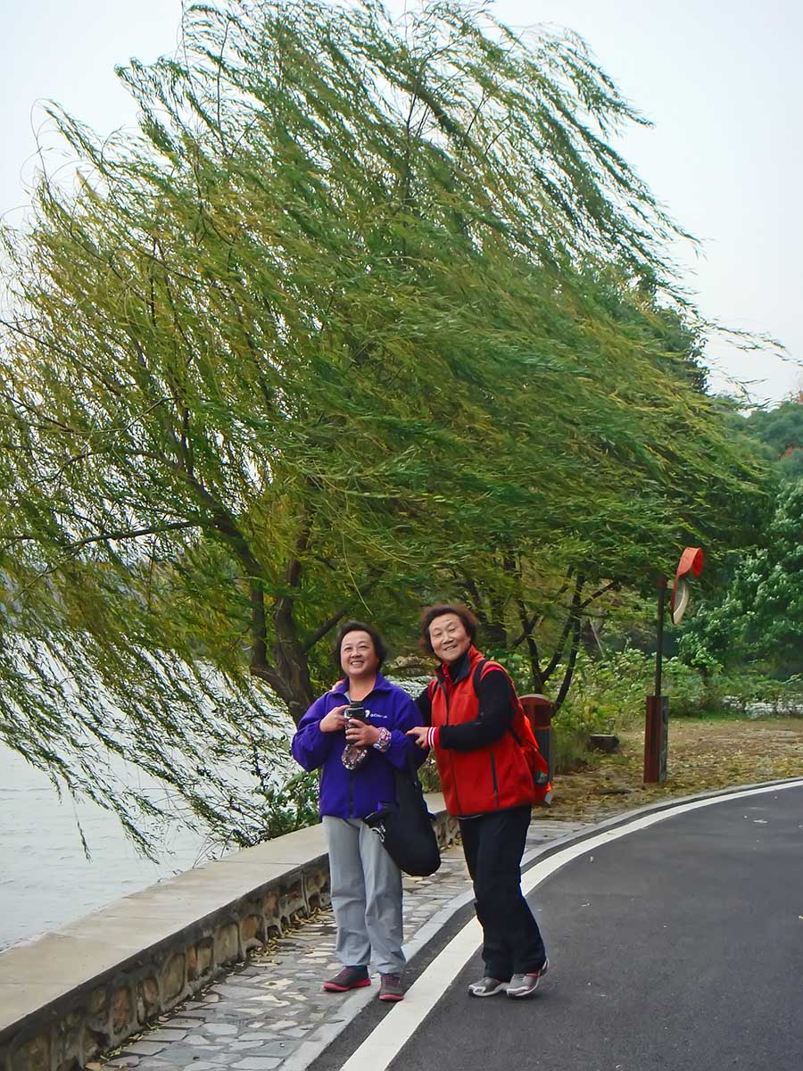 dsc03668 02.jpg