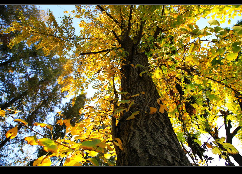 _mg_8085.jpg