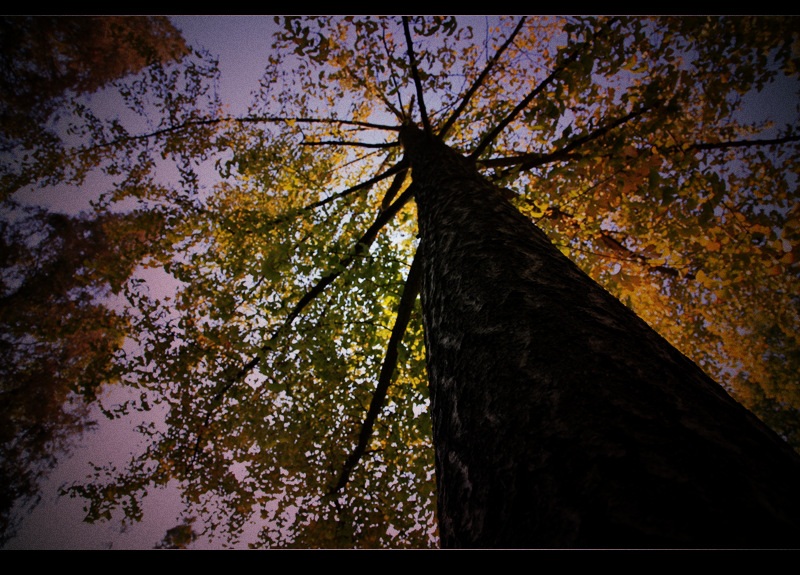 _mg_8092.jpg