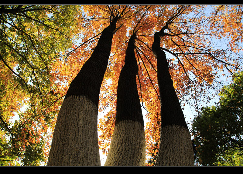 _mg_8140.jpg