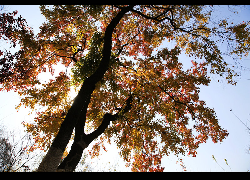 _mg_8174.jpg
